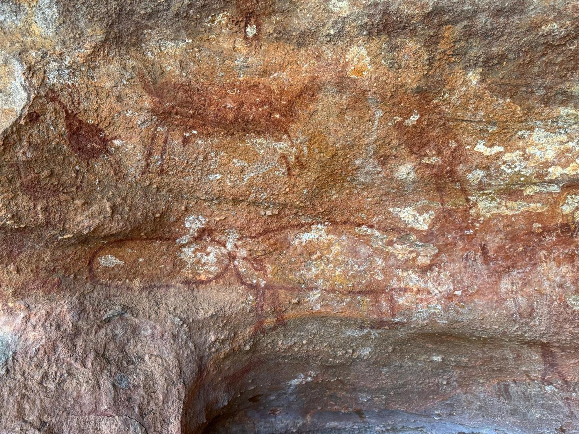 Casa Barreirinho Parque Nacional Serra Da Capivara Coronel Jose Dias Buitenkant foto