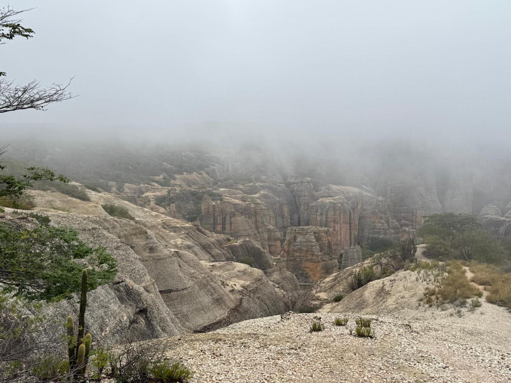 Casa Barreirinho Parque Nacional Serra Da Capivara Coronel Jose Dias Buitenkant foto