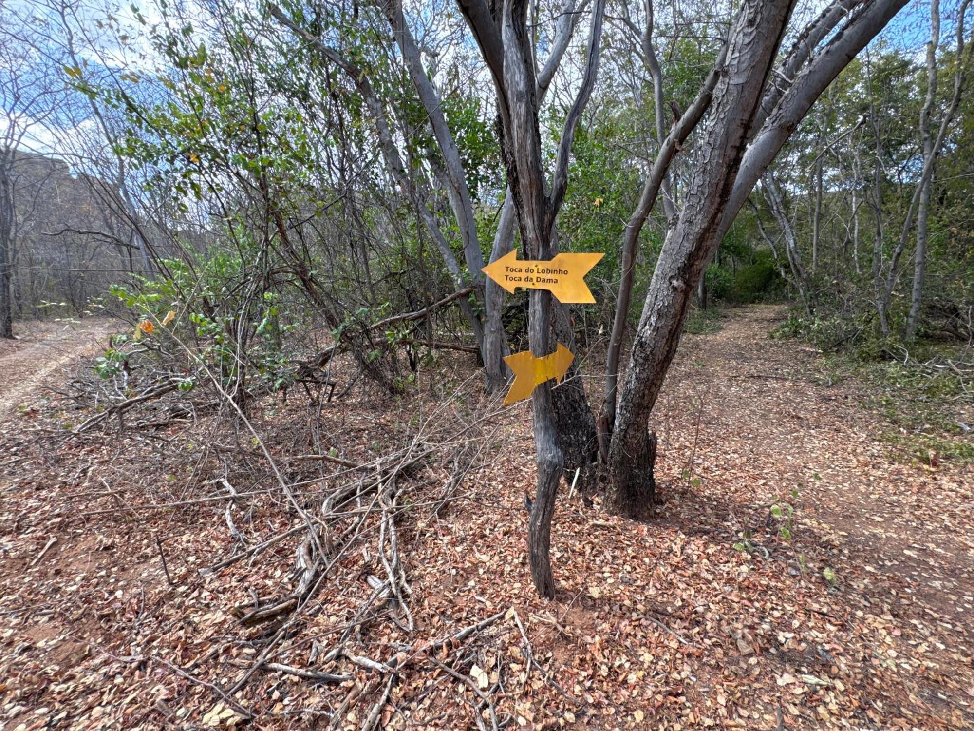 Casa Barreirinho Parque Nacional Serra Da Capivara Coronel Jose Dias Buitenkant foto
