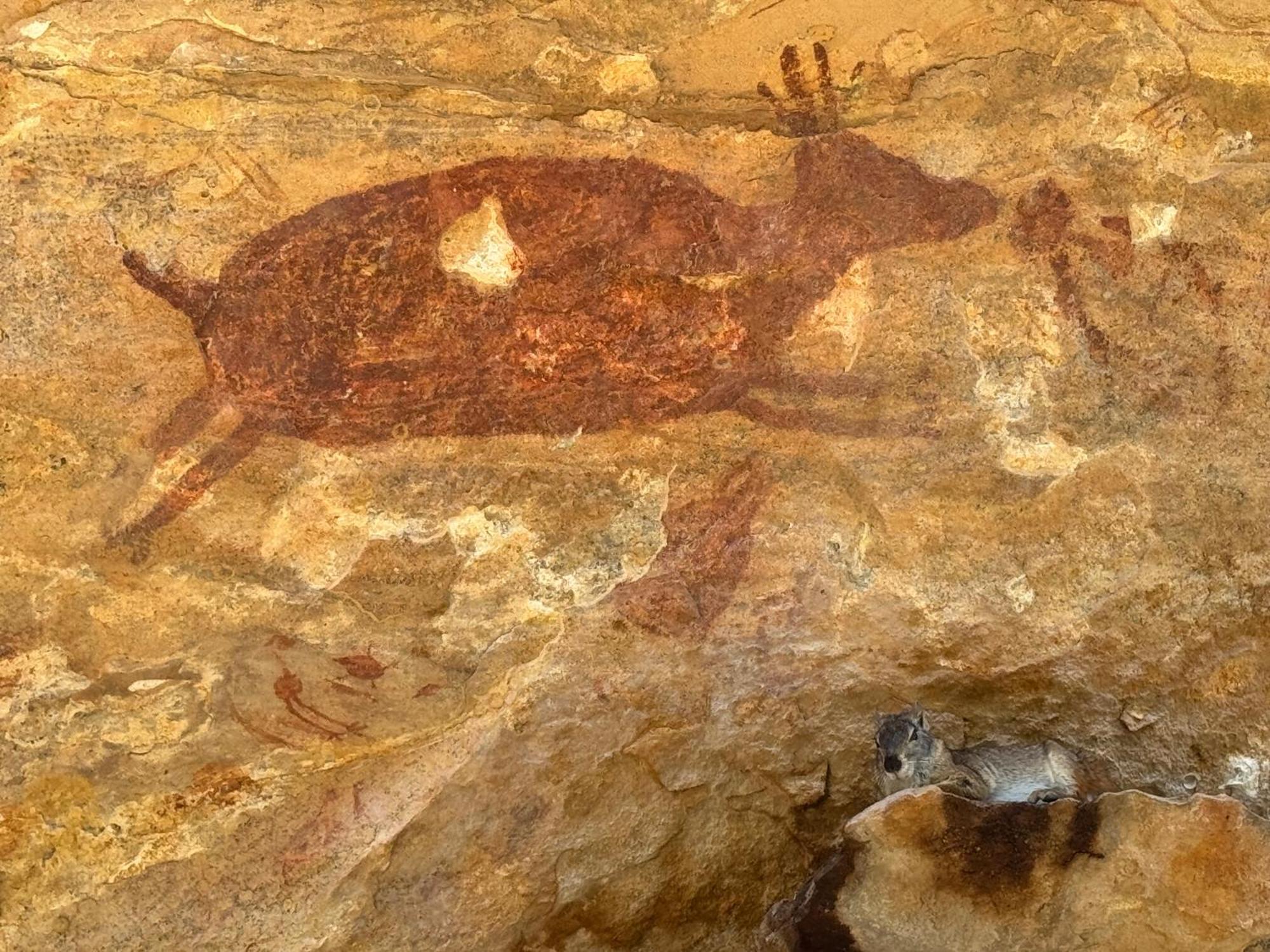 Casa Barreirinho Parque Nacional Serra Da Capivara Coronel Jose Dias Buitenkant foto
